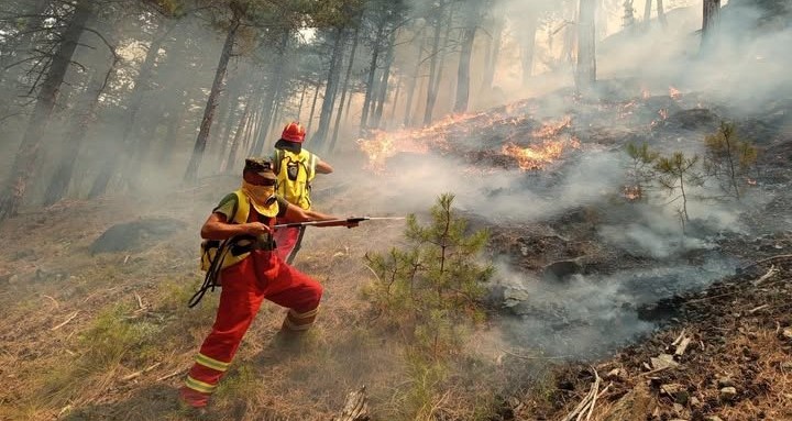 Situata e zjarreve drejt stabilizimit, por dëmet janë shumë të mëdha